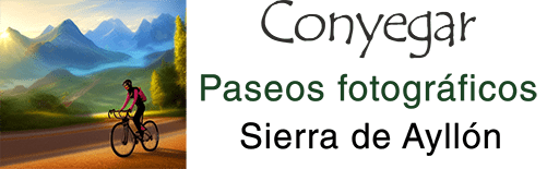 Logo Conyegar